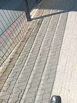 Lexwelll online show from February 26, 2025, 8:39 am