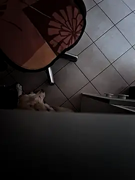 Snapshot of HardWolf2024 chatting on December 9, 2024, 2:49 pm HardWolf2024 online show from December 9, 2024, 2:49 pm