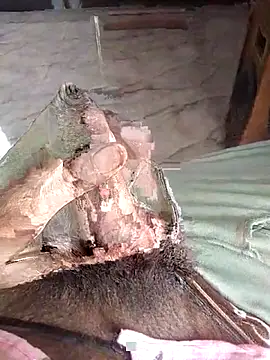 PracticalGum40 online show from April 12, 2026, 9:23 am