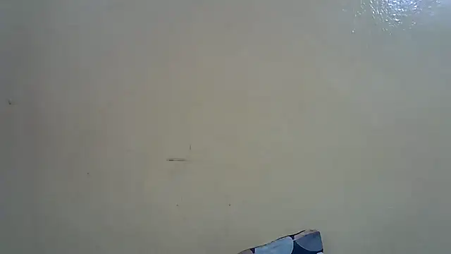 Snapshot of Harrisamor chatting on October 21, 2025, 9:14 pm Harrisamor online show from October 21, 2025, 9:14 pm