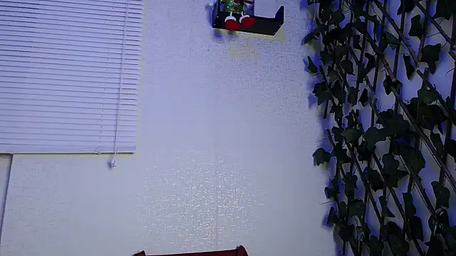 Snapshot of Jasson_kingg chatting on December 20, 2024, 3:14 am Jasson kingg online show from December 20, 2024, 3:14 am