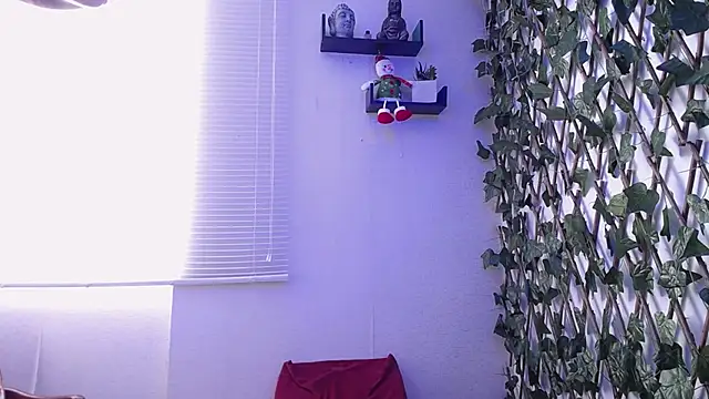 Snapshot of Jasson_kingg chatting on December 19, 2024, 4:46 pm Jasson kingg online show from December 19, 2024, 4:46 pm