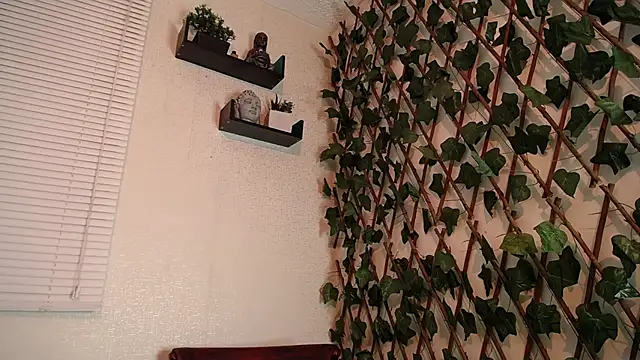 Snapshot of Jasson_kingg chatting on December 29, 2024, 6:56 am Jasson kingg online show from December 29, 2024, 6:56 am