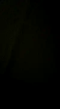 dvaughn3117 online show from December 11, 2024, 4:28 am