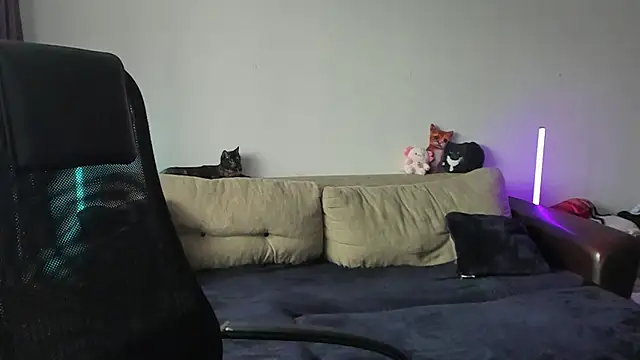 Ostin meow online show from July 3, 2026, 1:06 pm