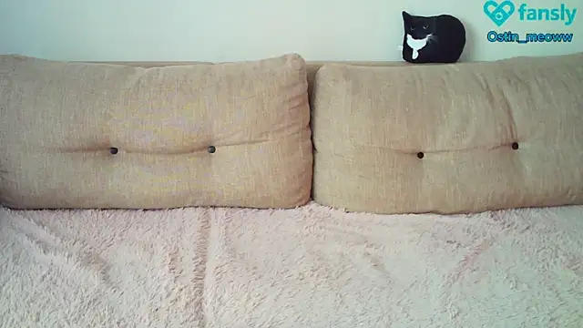 Ostin meow online show from February 20, 2025, 6:39 am