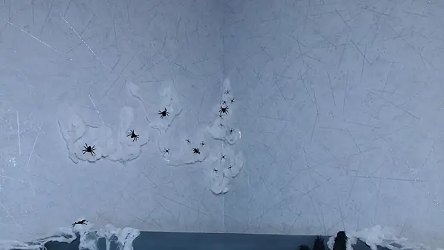 sofiaa here online show from October 9, 2025, 12:33 am