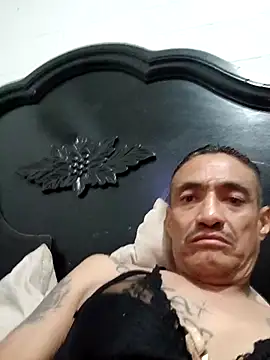 Innsaciable online show from October 25, 2025, 9:08 am