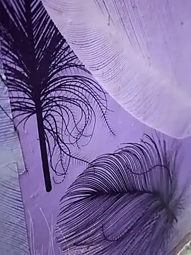 Scheme SS online show from January 17, 2026, 5:27 pm