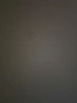 Snapshot of krishking1117 chatting on December 17, 2024, 6:45 am krishking1117 online show from December 17, 2024, 6:45 am