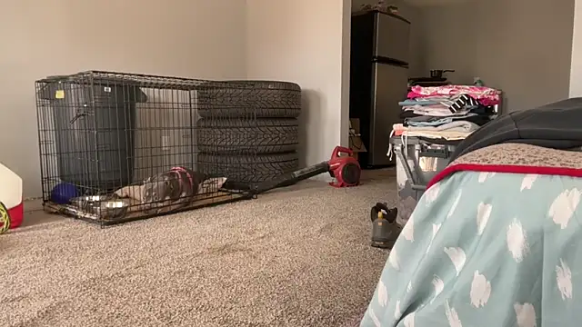 Snapshot of skarfosbabes69 chatting on March 20, 2026, 4:30 pm skarfosbabes69 online show from March 20, 2026, 4:30 pm