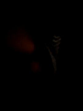 RMP05 online show from December 21, 2024, 2:09 am