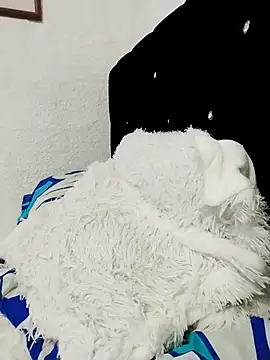 ElizabethWeil online show from December 15, 2025, 3:18 pm