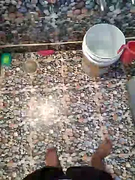 raamcxy online show from December 25, 2024, 2:57 am