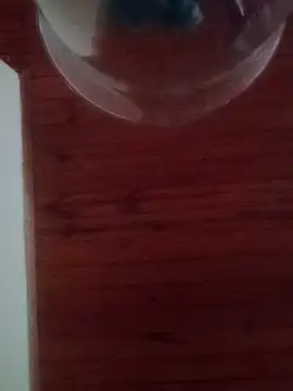 Darly Gomez online show from February 17, 2025, 10:16 pm