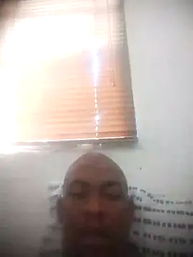 zuludog online show from July 28, 2026, 12:12 pm