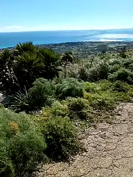 Samira-Summer online show from February 22, 2026, 10:17 am