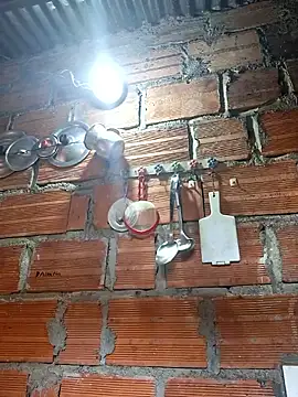 chubby sexy big tits online show from January 16, 2026, 1:15 pm