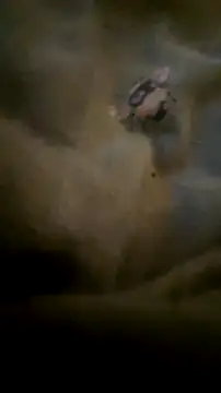 houy111111 online show from September 23, 2025, 6:48 pm