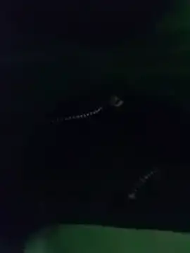 Snapshot of thanos65432 chatting on March 18, 2026, 5:32 am thanos65432 online show from March 18, 2026, 5:32 am