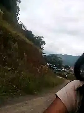 Danna-linyi online show from January 26, 2025, 12:54 pm