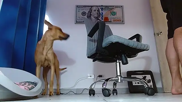 boss of cash online show from July 1, 2026, 12:05 pm