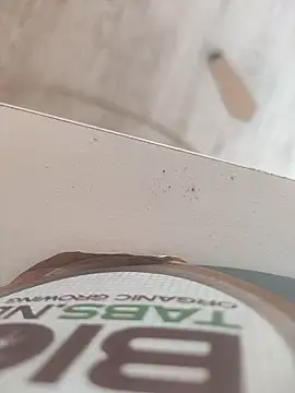 Snapshot of lunaxxxtreme chatting on November 11, 2025, 12:22 pm lunaxxxtreme online show from November 11, 2025, 12:22 pm