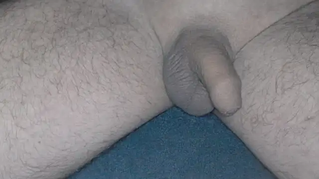 cs1512 online show from February 26, 2025, 4:41 am