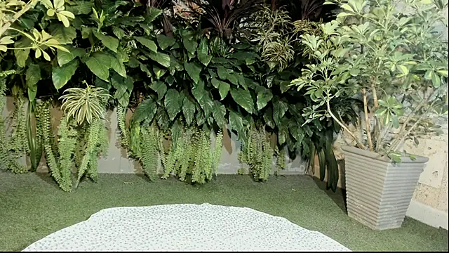 loladupont online show from September 10, 2025, 3:05 am