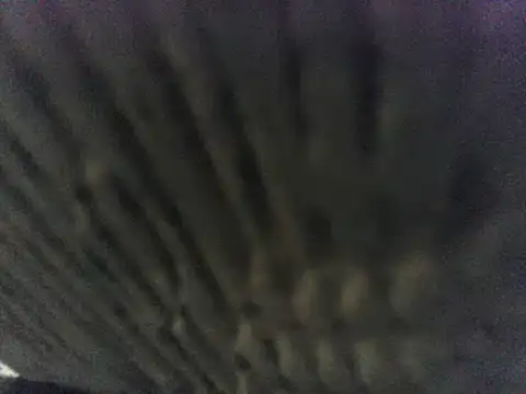 party51502 online show from March 8, 2025, 7:20 pm