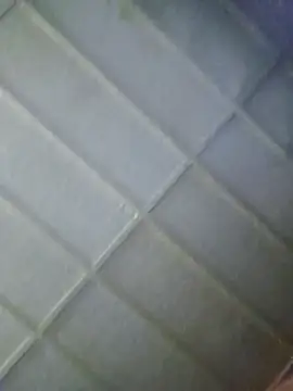 zaneporter46 online show from February 5, 2026, 6:15 pm