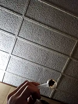 zaneporter46 online show from October 21, 2025, 7:30 am