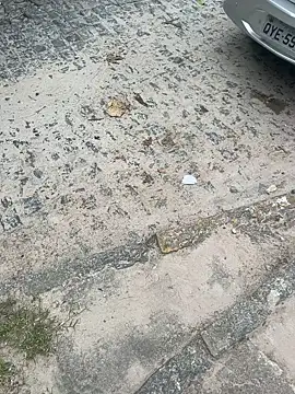 Snapshot of Casadadelicia26 chatting on March 19, 2026, 7:25 pm Casadadelicia26 online show from March 19, 2026, 7:25 pm