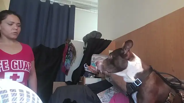 Dnasty408 online show from November 7, 2025, 8:13 pm