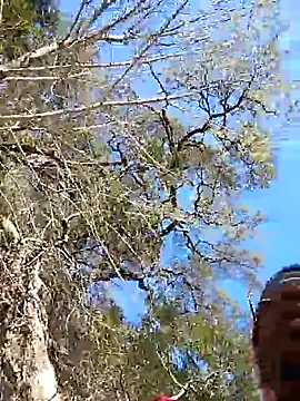 VelvetChocolate7 online show from February 24, 2026, 8:31 pm