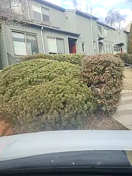 imanatural69 online show from January 3, 2025, 2:19 pm