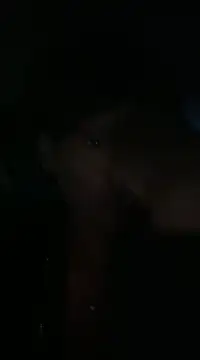 cinnabunzbunz86 online show from February 19, 2025, 4:23 am