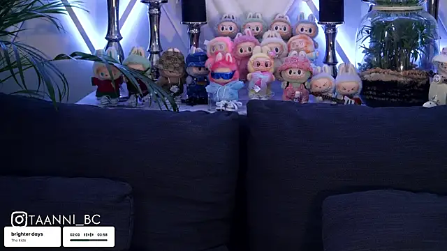 taanni bc online show from October 9, 2025, 7:31 am