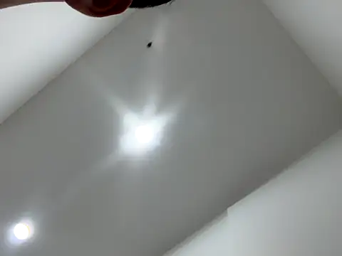 Sexocokin online show from December 16, 2025, 1:15 pm