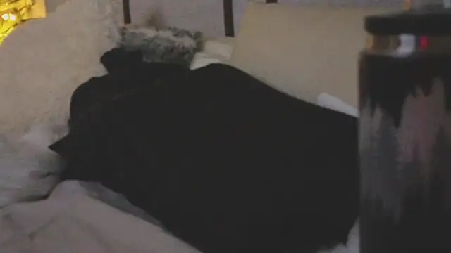 Snapshot of ivynyxx chatting on March 16, 2026, 9:39 pm ivynyxx online show from March 16, 2026, 9:39 pm