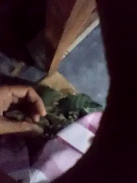 xLoveer online show from December 5, 2025, 6:06 pm