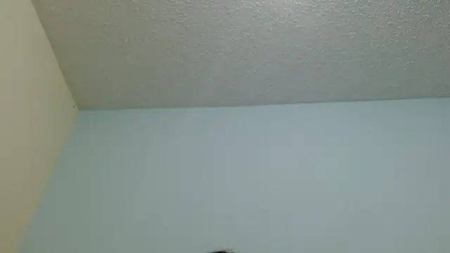 boobsTaylor online show from February 12, 2026, 7:19 am