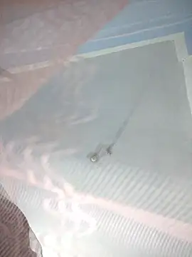 124pakhi online show from January 12, 2026, 3:19 pm