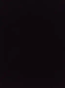 acuarela online show from January 19, 2025, 5:05 am