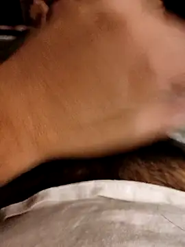 pitorico bb online show from March 11, 2025, 4:41 am