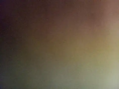 Lauren Amabel online show from November 6, 2025, 7:29 pm