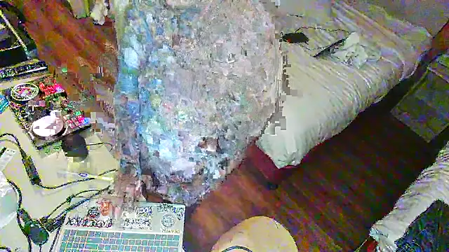 justthetip4209 online show from February 20, 2025, 3:01 am