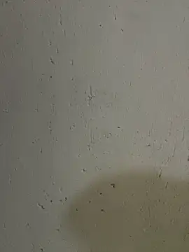 triplebeast online show from October 17, 2025, 4:49 am