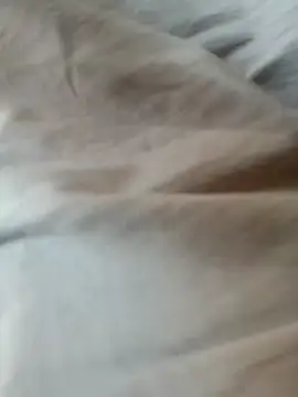 jayjay198080 online show from February 2, 2026, 6:07 pm