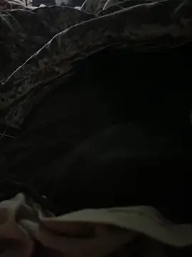 BCFZD online show from September 27, 2025, 3:23 am